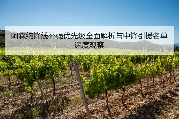 阿森纳锋线补强优先级全面解析与中锋引援名单深度观察